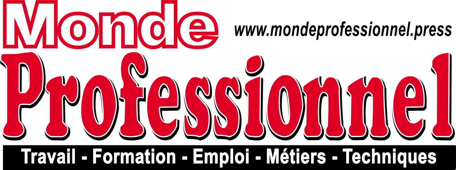 Le Monde Professionnel